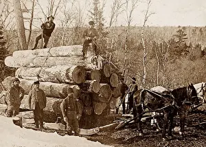 Hauling logs Kettle River Landing Minnesota USA early 1900s