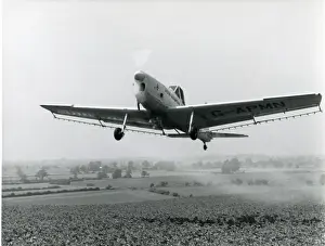 Single Seat Prints: de Havilland Canada DHC1 Chipmunk Mk23