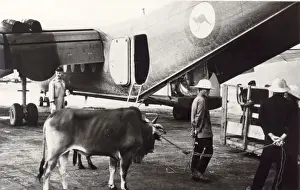 de Havilland Canada DHC4 Caribou