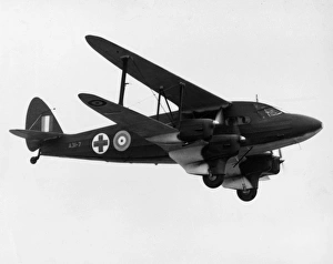 Airliners Gallery: De Havilland DH 86 Dragon Express -typifying the numero