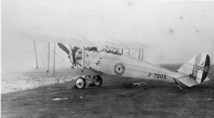 de Havilland DH42 Dormouse J7005