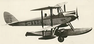 Undercarriage Collection: de Havilland DH60G Gipsy Moth, G-aDV