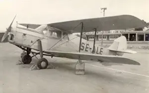 Hornet Prints: de Havilland DH87B Hornet Moth, SE-ALE