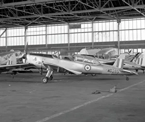 Hangar Prints: de Havilland DHC-1 Chipmunk T.10 WD289