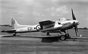 de Havilland Sea Hornet F20 TT197