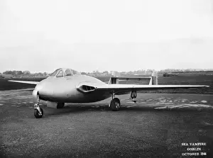 de Havilland Sea Vampire