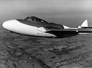 de Havilland Sea Venom NF20
