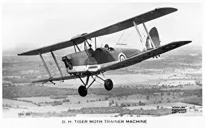 Tiger Collection: De Havilland Tiger Moth British biplane