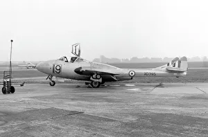 Vampire Prints: de Havilland Vampire T.11 XD395