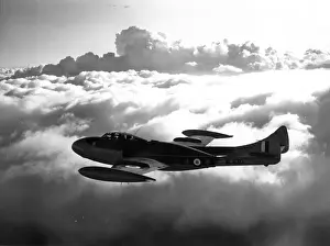 Venom Prints: de Havilland Venom NF2 WL830
