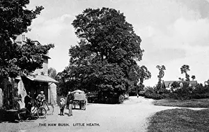 Bush Prints: The Haw Bush Pub, Little Heath, Chadwell Heath, Romford
