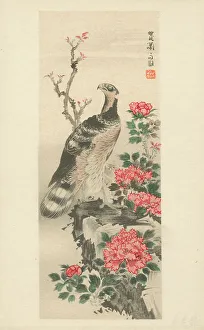 Peonies Prints: Hawk with Peonies by Soga Shohaku
