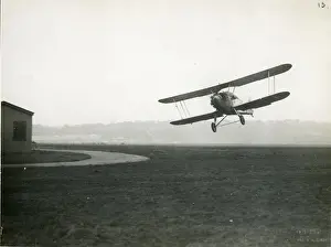 Hawker Danecock