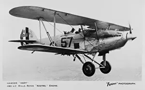 Kestrel Prints: Hawker Hart British light bomber biplane
