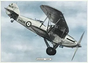 Hawker Hind