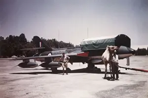 Hawker Hunter