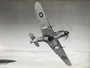 Hawker Hurricane Mk 2D