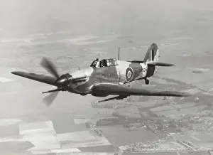 Hawker Hurricane Mk 2D
