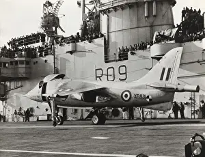 Hawker P-1127 Kestrel