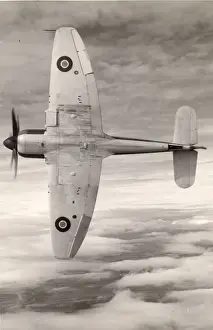 Hawker Sea Fury