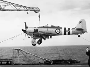 Hawker Sea Fury