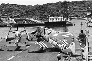 Hawker Sea Fury