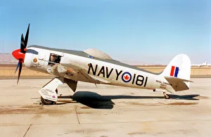 Fury Prints: Hawker Sea Fury FB.11 N60SF