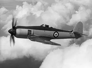 Hawker Prints: Hawker Sea Fury FB11 WF619