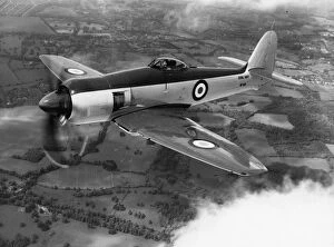 Plane Gallery: Hawker Sea Fury FB11 WF619