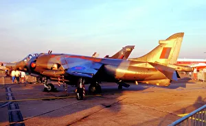 Harrier Prints: Hawker Siddeley Harrier GR. 3 XZ987