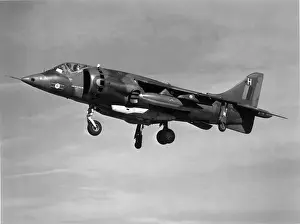 Harrier Prints: Hawker Siddeley Harrier GR3 of No3 Squadron takes off