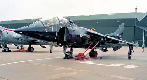 Harrier Prints: Hawker Siddeley Harrier T. 8 ZD993