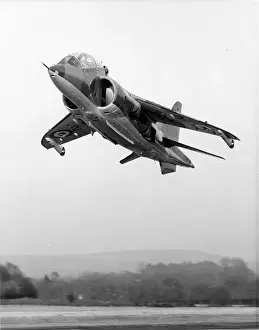 Harrier Prints: Hawker Siddeley Harrier T2, XW270