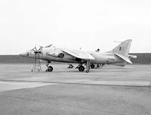 Kestrel Prints: Hawker Siddeley P.1127 Kestrel FGA.1 XS689