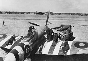 Tempest Gallery: Hawker Tempest