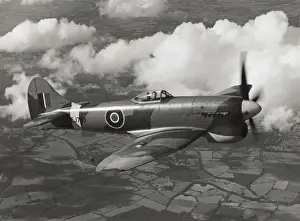 Hawker Tempest 5