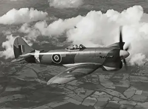 Hawker Tempest 5