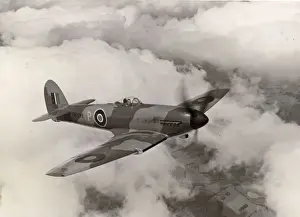 Hawker Tempest I, HM599