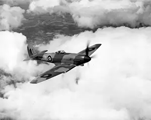 Hawker Tempest I HM599