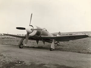 *New* Photographic Content Collection: Hawker Tempest II, MW404