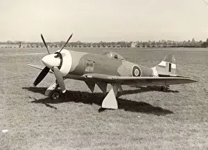 Tempest Prints: Hawker Tempest II, MW7??