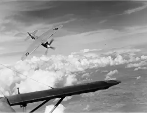 Hawker Tempest V