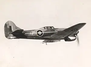 Dorsal Prints: Hawker Tempest V, HM595, with interim dorsal fin