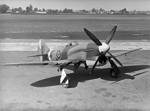 Tempest Prints: Hawker Tempest V JN729