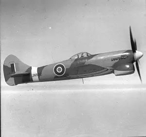 Tempest Prints: Hawker Tempest V JN802