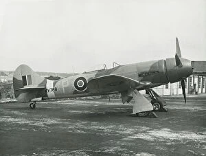 Manufacturing Collection: Hawker Tempest V powered by a Sabre IIB NV768