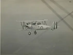 Hawker Tomtit, J9777