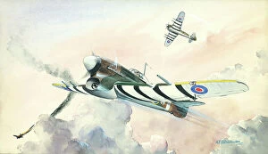 The J Salmon Archive Collection: Hawker Typhoon