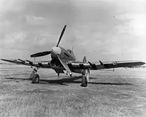 Typhoon Prints: Hawker Typhoon