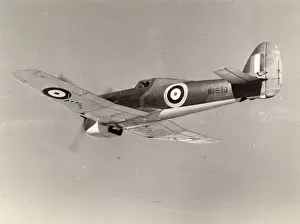 Typhoon Prints: Hawker Typhoon IA, R7579